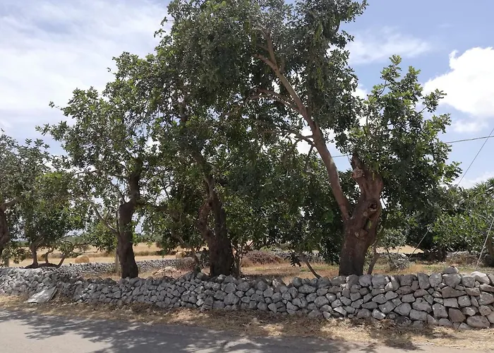 Casa Concetta Apartment