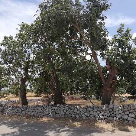 Casa Concetta Διαμέρισμα