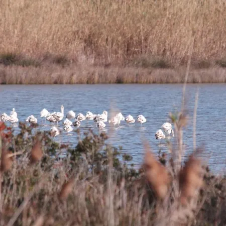 Apartman Casa Concetta *