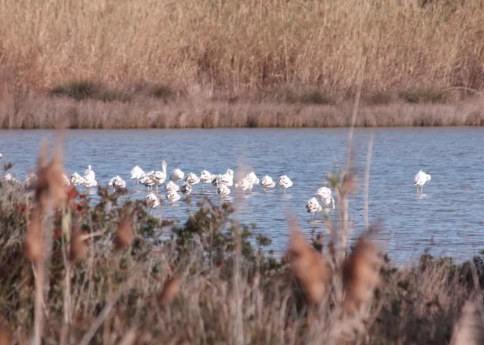 Apartamento Casa Concetta *